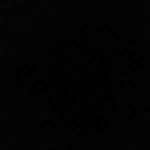 Meet your Posher, Chase